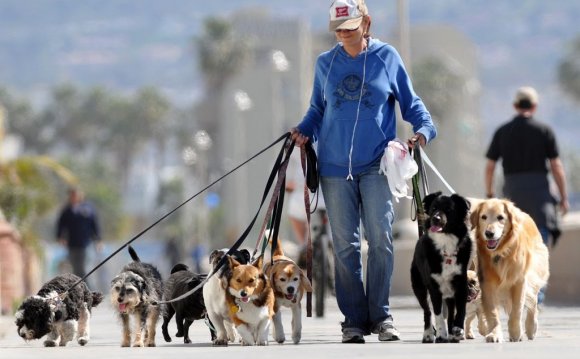 Regulations For Dogs In A Multi-Family Home