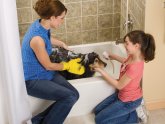 Dog Washing At Home